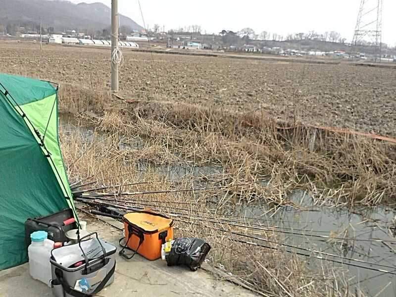 사짜를 찾아서 (조황조행기 - 화보조행기)