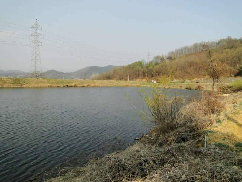 구미 붕어愛 정출 후기 (조황조행기 - 화보조행기)