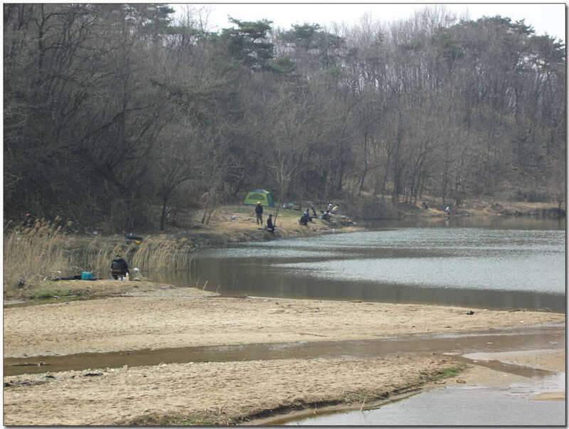 반가운동생 (조황조행기 - 화보조행기)