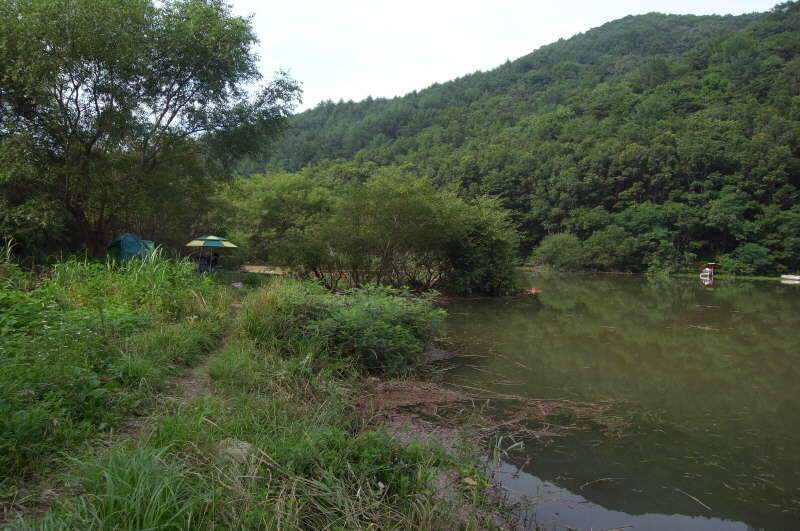 붕어사랑 조행기4회 8박9일 (조황조행기 - 화보조행기)