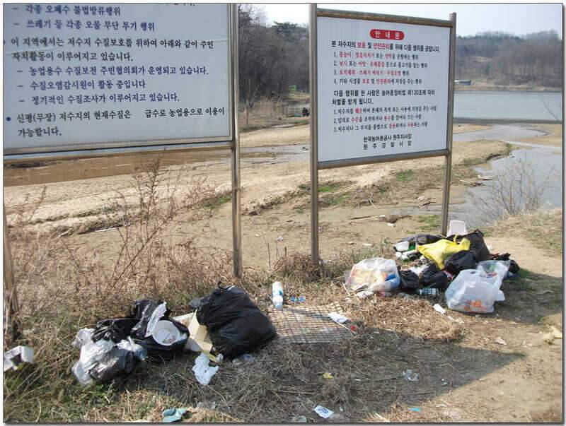 반가운동생 (조황조행기 - 화보조행기)