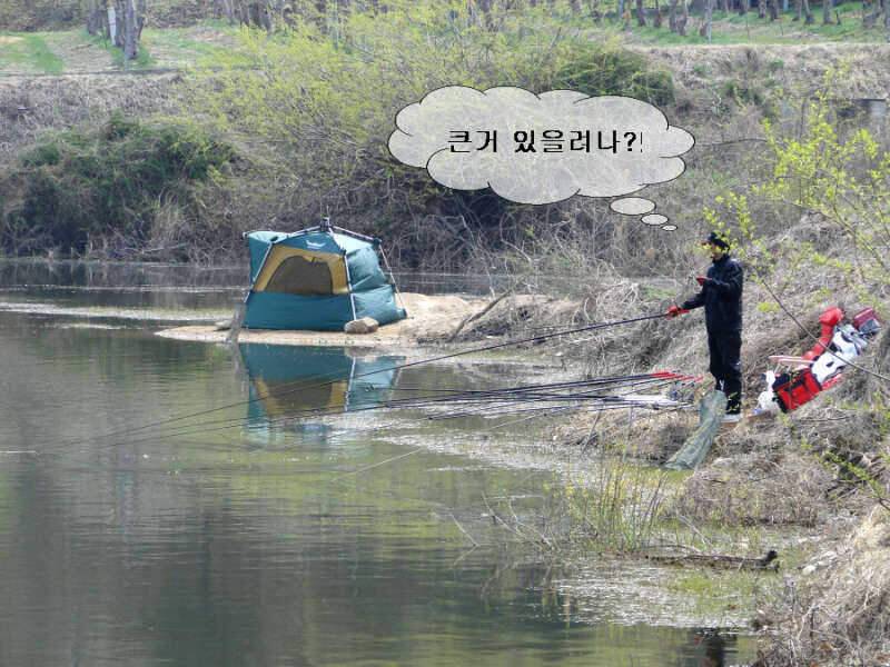 구미 붕어愛 정출 후기 (조황조행기 - 화보조행기)