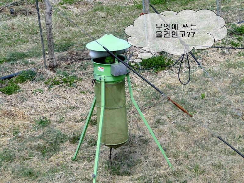 구미 붕어愛 정출 후기 (조황조행기 - 화보조행기)