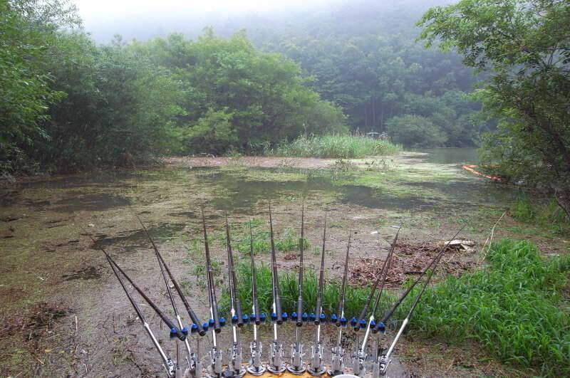 붕어사랑 조행기4회 8박9일 (조황조행기 - 화보조행기)