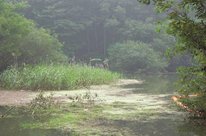 붕어사랑 조행기4회 8박9일 (조황조행기 - 화보조행기)