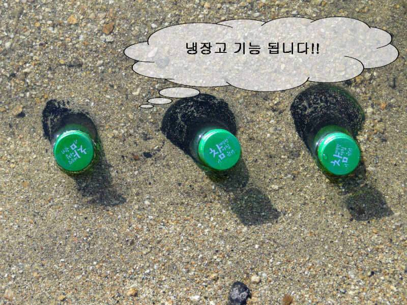 구미 붕어愛 정출 후기 (조황조행기 - 화보조행기)