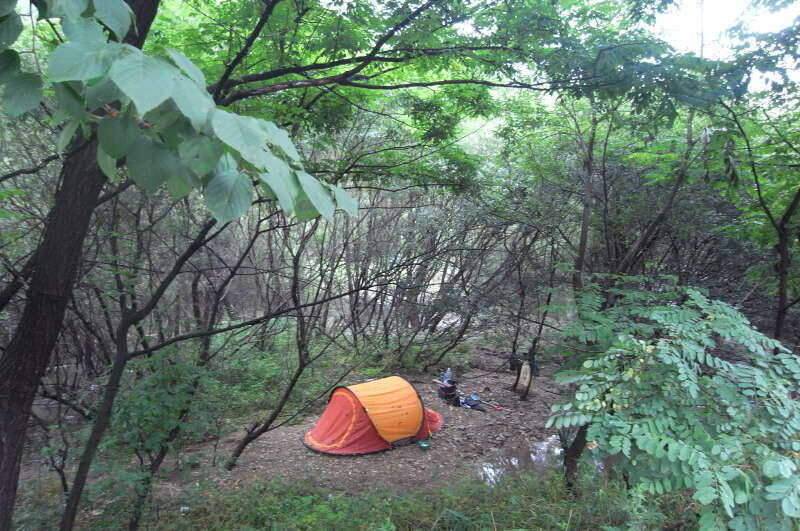 붕어사랑 조행기4회 8박9일 (조황조행기 - 화보조행기)