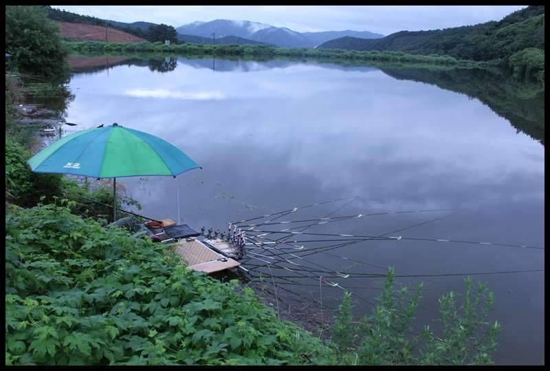 물폭탄 폭격하던날 (조황조행기 - 화보조행기)