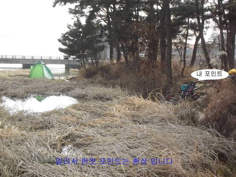 태안 달산지찍고 서산 인평지 (조황조행기 - 화보조행기)