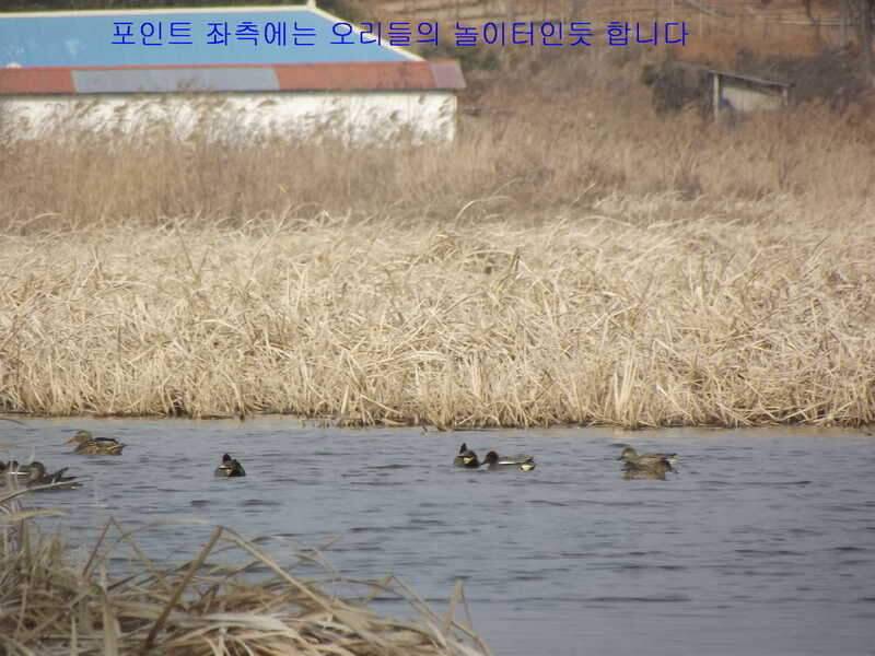 태안 달산지찍고 서산 인평지 (조황조행기 - 화보조행기)