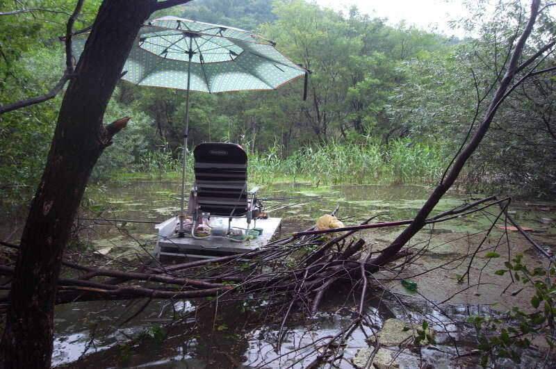 붕어사랑 조행기4회 8박9일 (조황조행기 - 화보조행기)