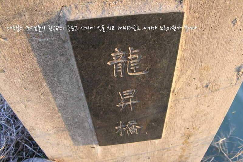 고복저수지 봄이 왔습니다 (조황조행기 - 화보조행기)