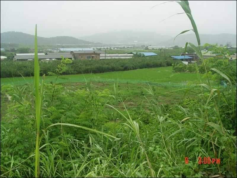 황제조우회 정출인물사진 (조황조행기 - 화보조행기)