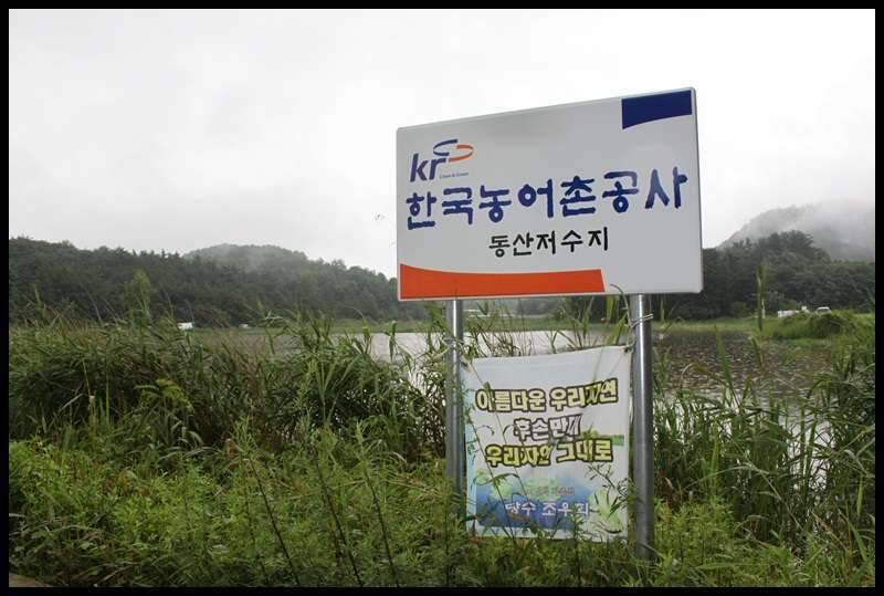 물폭탄 폭격하던날 (조황조행기 - 화보조행기)