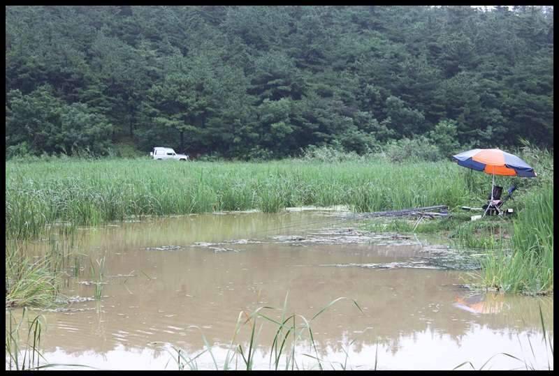 물폭탄 폭격하던날 (조황조행기 - 화보조행기)