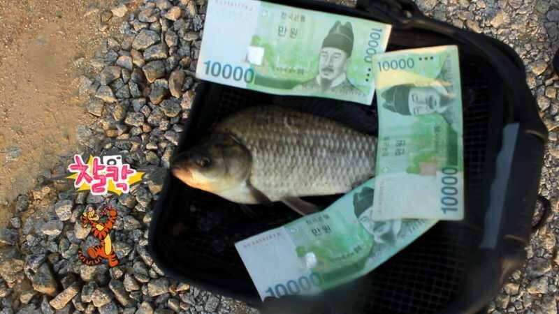 44칸이없어졌네 누가가져간그여ㅋㅋ김제정읍붕어낚시 (조황조행기 - 화보조행기)