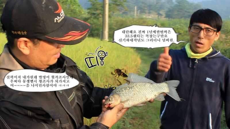 44칸이없어졌네 누가가져간그여ㅋㅋ김제정읍붕어낚시 (조황조행기 - 화보조행기)