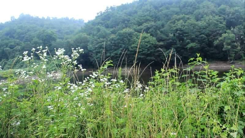 신일아 월순이언냐잡고 작두타자 ㅋㅋ (조황조행기 - 화보조행기)