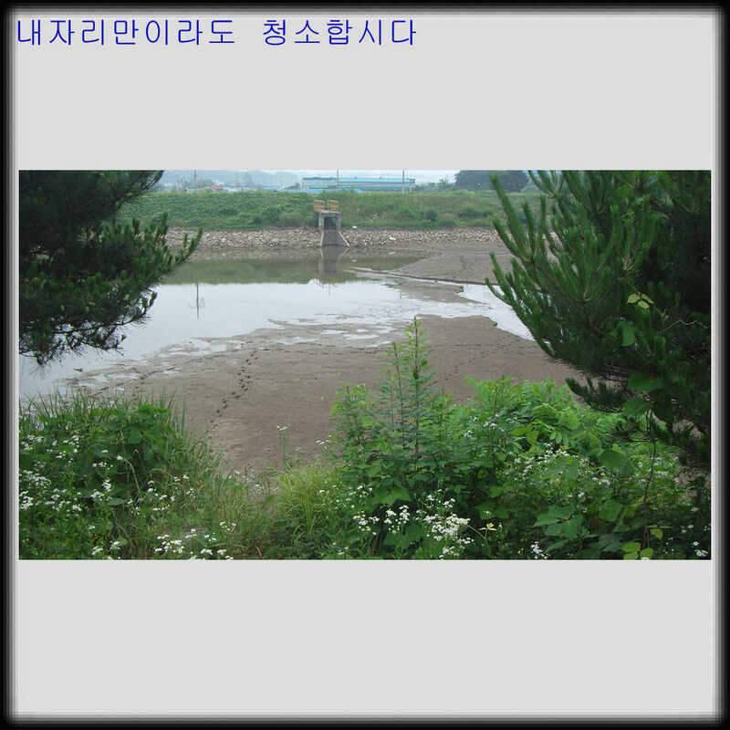 뽀록낚시첫오름수위 찬스 (조황조행기 - 화보조행기)