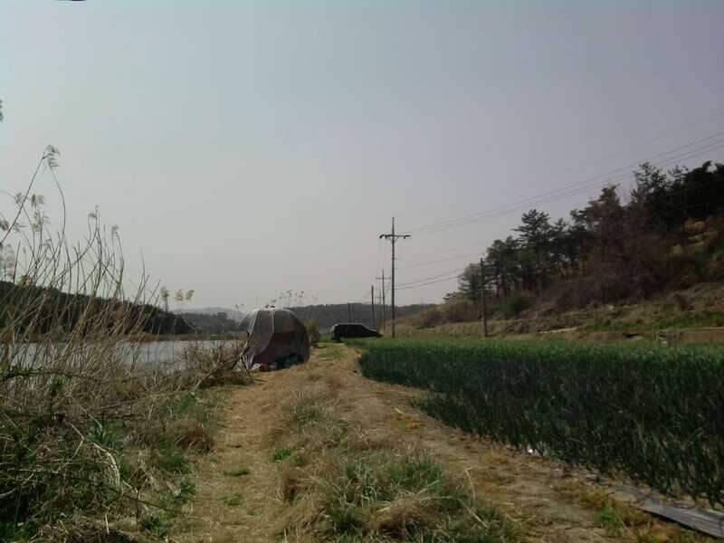 창녕권 2번째 탐사기 (조황조행기 - 화보조행기)