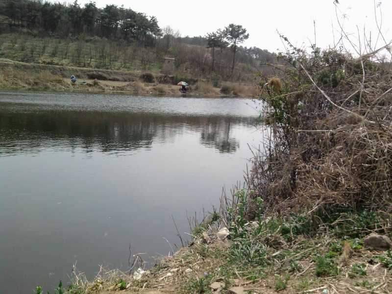 창녕권 2번째 탐사기 (조황조행기 - 화보조행기)