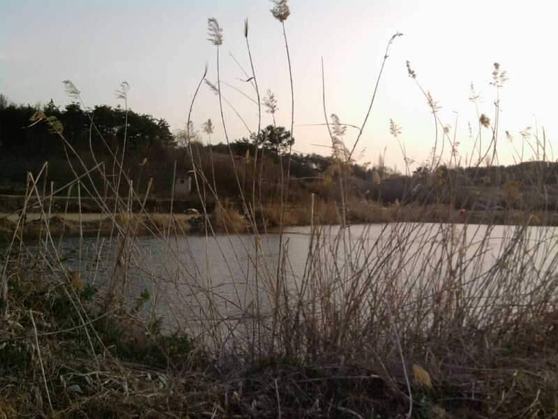 창녕권 2번째 탐사기 (조황조행기 - 화보조행기)