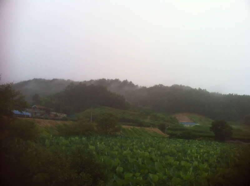 길 (조황조행기 - 화보조행기)