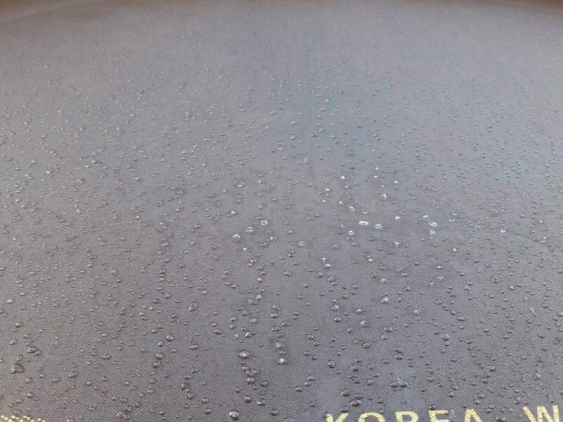 대포의 낚놀이 (조황조행기 - 화보조행기)