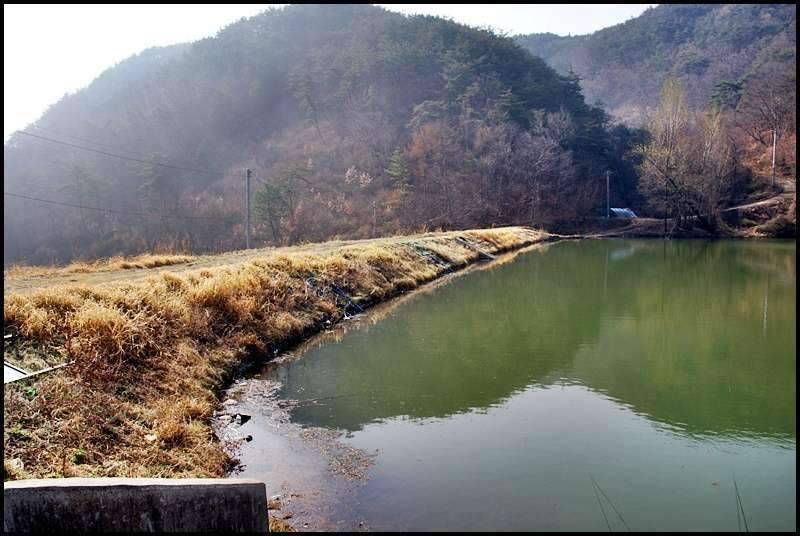 즐거운 낚시일기 31 (조황조행기 - 화보조행기)
