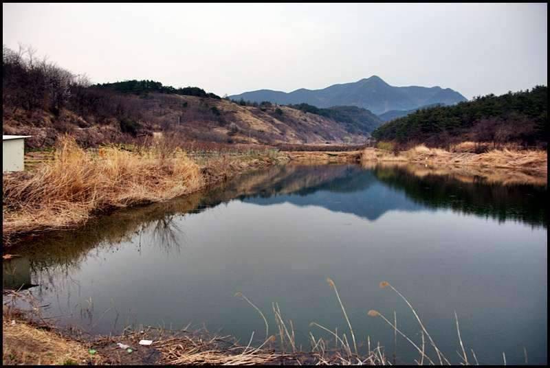 즐거운 낚시일기 31 (조황조행기 - 화보조행기)