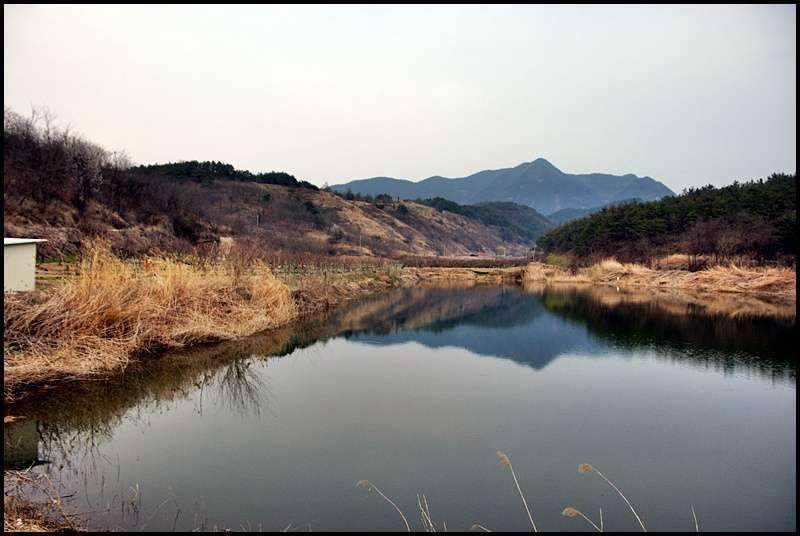 즐거운 낚시일기 31 (조황조행기 - 화보조행기)