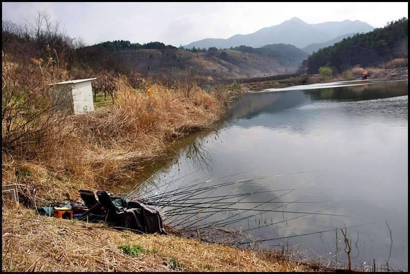 즐거운 낚시일기 31 (조황조행기 - 화보조행기)