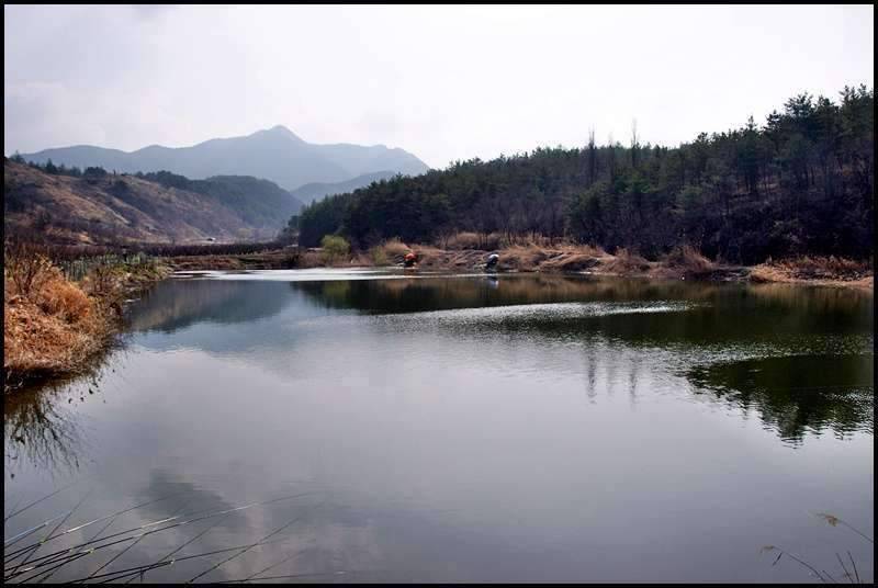 즐거운 낚시일기 31 (조황조행기 - 화보조행기)