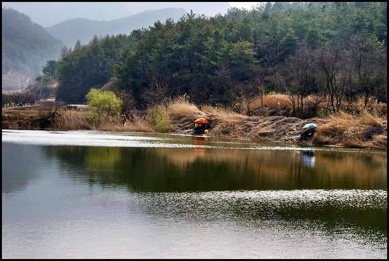 즐거운 낚시일기 31 (조황조행기 - 화보조행기)