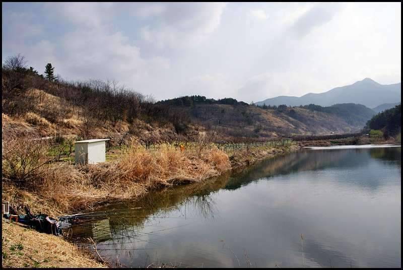즐거운 낚시일기 31 (조황조행기 - 화보조행기)