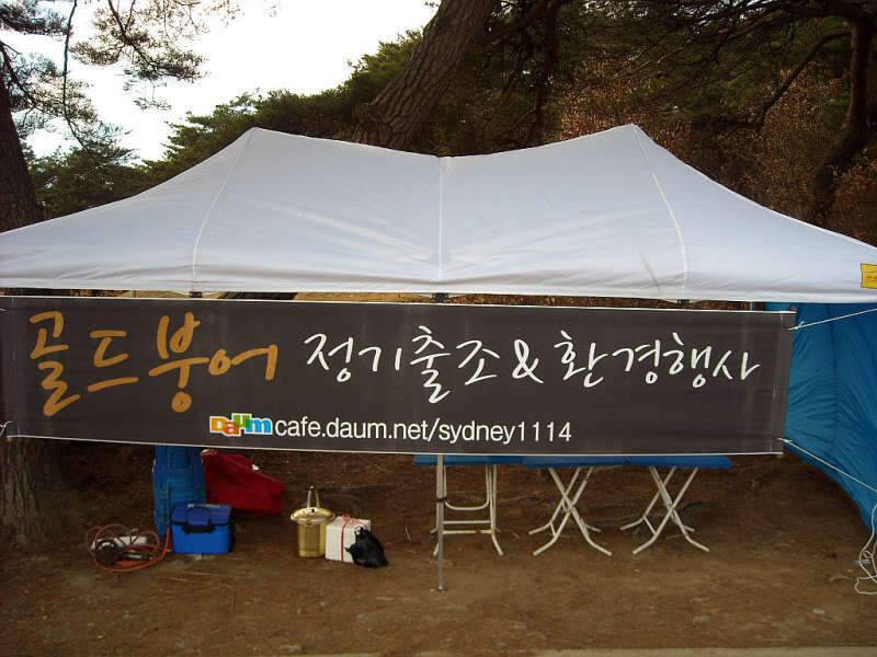 골드붕어 12월 마지막 정출 (조황조행기 - 화보조행기)