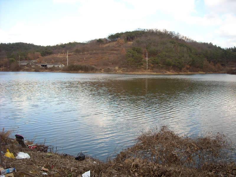 골드붕어 12월 마지막 정출 (조황조행기 - 화보조행기)