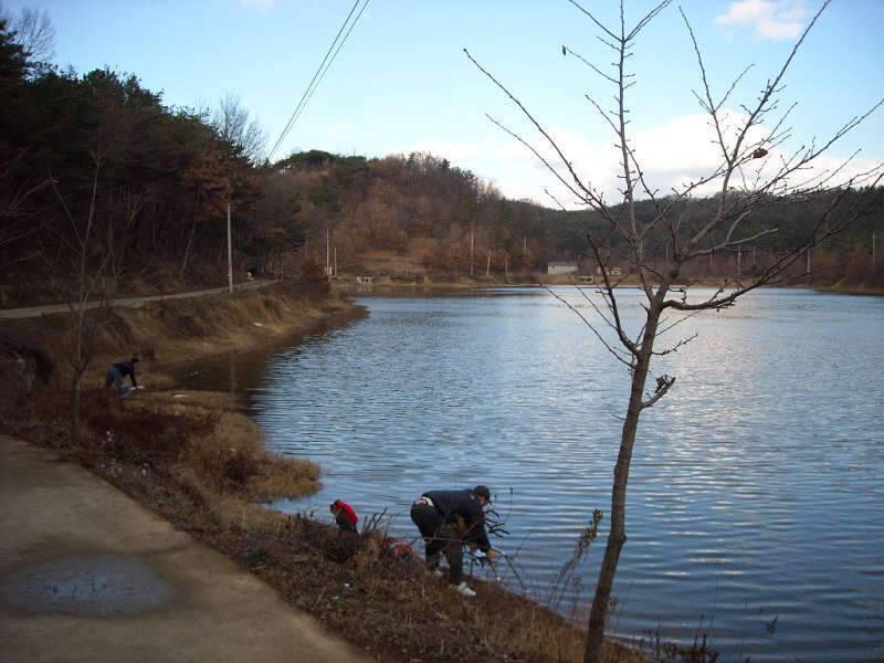 골드붕어 12월 마지막 정출 (조황조행기 - 화보조행기)