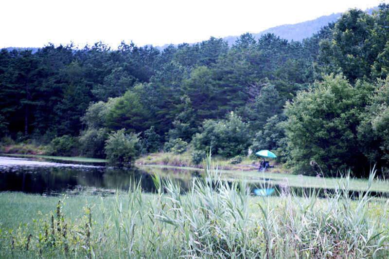 구미대물사랑 7월 정출후기 (조황조행기 - 화보조행기)