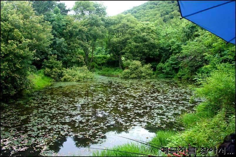 계곡지를 찾아서11회조행기 (조황조행기 - 화보조행기)