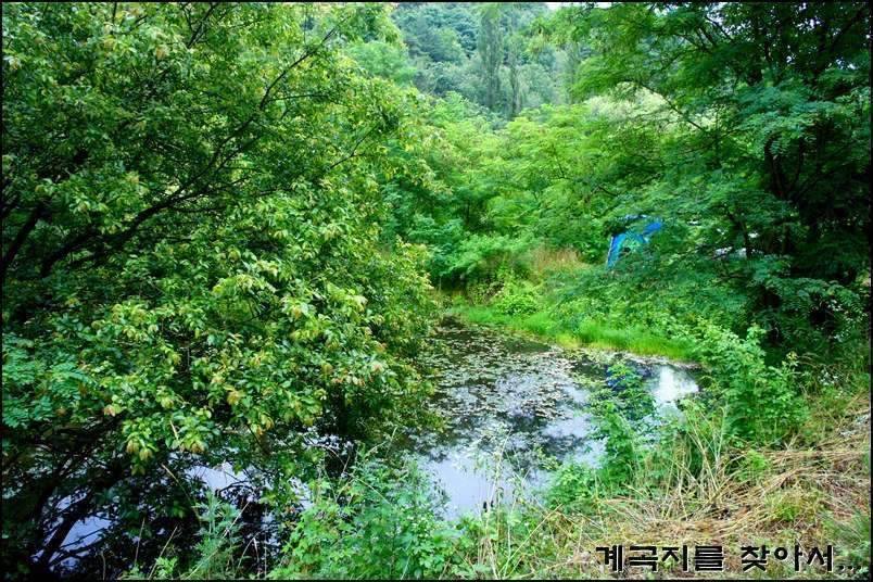 계곡지를 찾아서11회조행기 (조황조행기 - 화보조행기)