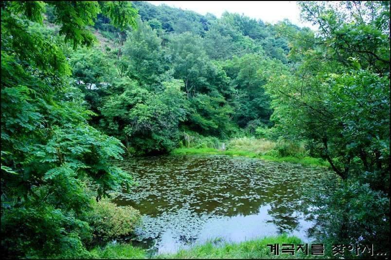 계곡지를 찾아서11회조행기 (조황조행기 - 화보조행기)