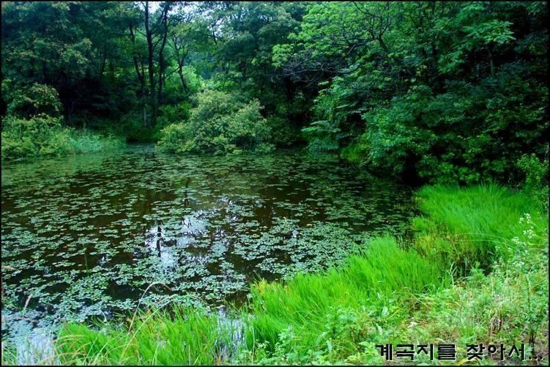 계곡지를 찾아서11회조행기 (조황조행기 - 화보조행기)