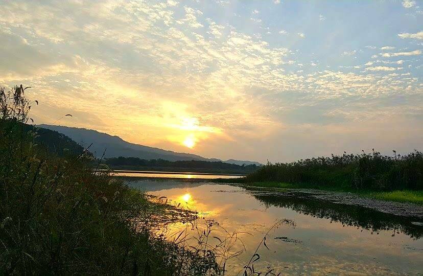 먹개비의 낚시투어 17탄멋쟁이 형님과 동출 (조황조행기 - 화보조행기)
