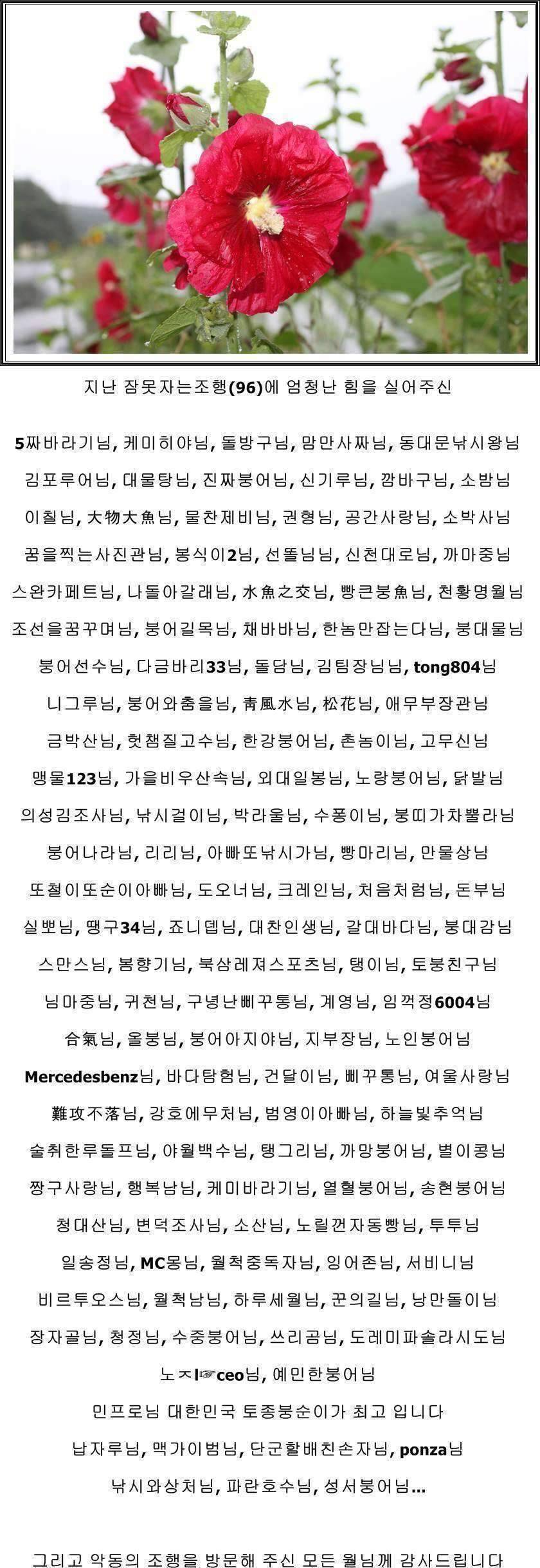 잠못자는 조행97 (조황조행기 - 화보조행기)