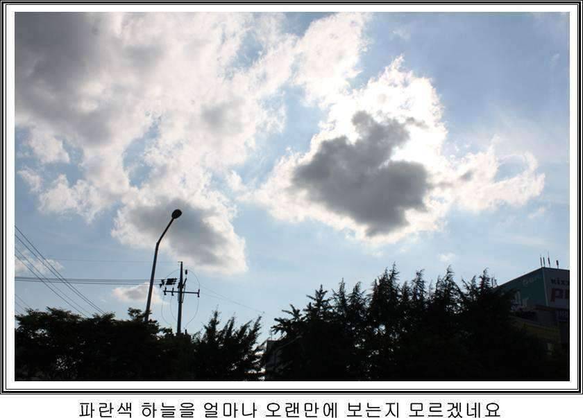 잠못자는 조행97 (조황조행기 - 화보조행기)