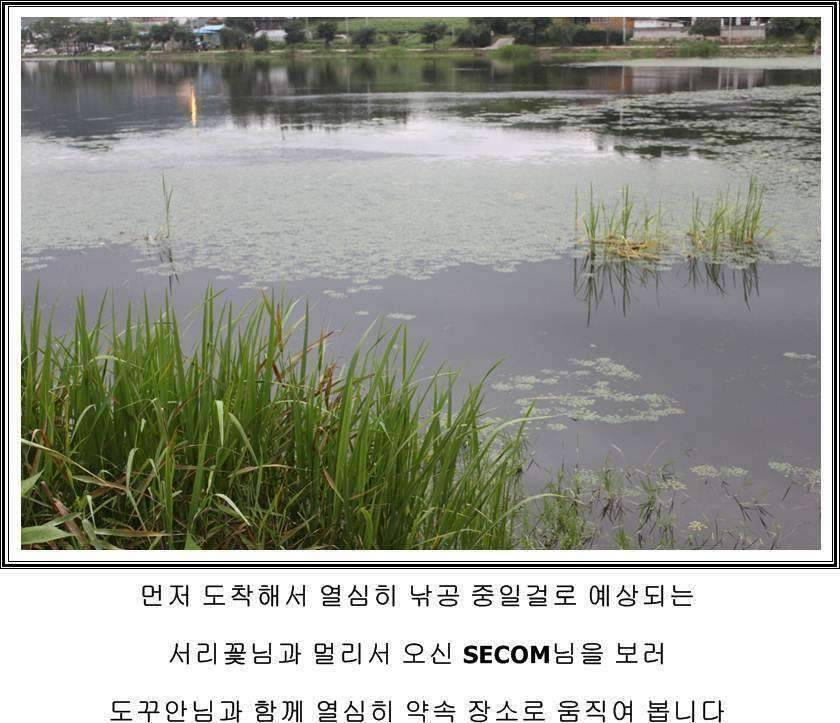 잠못자는 조행97 (조황조행기 - 화보조행기)