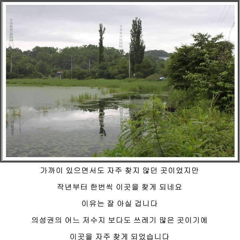 잠못자는 조행97 (조황조행기 - 화보조행기)