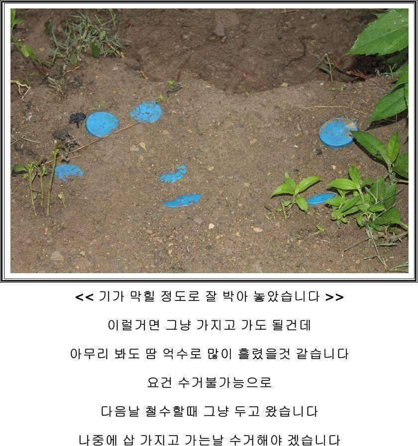 잠못자는 조행97 (조황조행기 - 화보조행기)