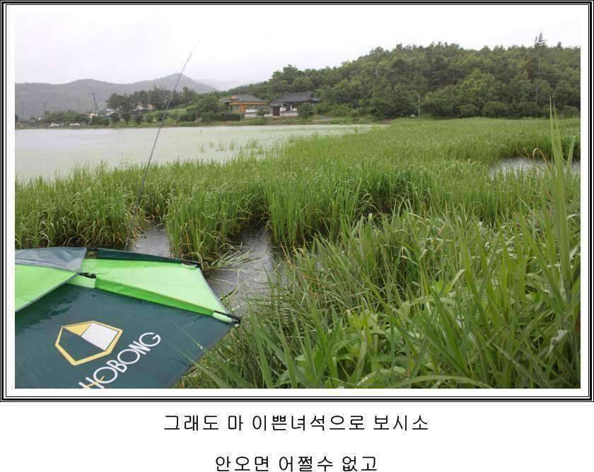 잠못자는 조행97 (조황조행기 - 화보조행기)